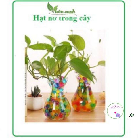 Hạt Nở Tinh Thể Dinh Dưỡng Cho Cây Thủy Sinh - 10g (300-400 Viên) - Trang Trí Nội Thất và Cắm Hoa Đẹp Mắt