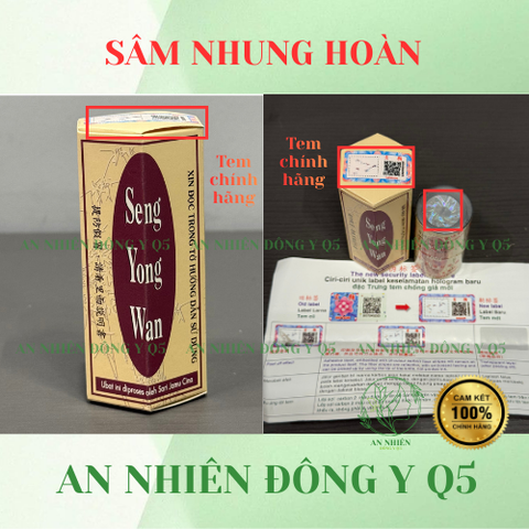 SÂM NHUNG HOÀN - SENG YOUNG WAN Hỗ Trợ Ăn Ngon Ngủ Ngon, Tăng Cân, Bổ Sung Dưỡng Chất, Cải Thiện Sức Khỏe - Hàng Chính Hãng