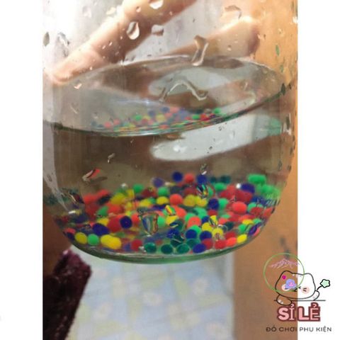 Hạt Tinh Thể Thủy Sinh 10g - Hạt Nở Đa Màu Sắc Trang Trí Cây Cảnh - An Toàn Để Sử Dụng Trong Nhà