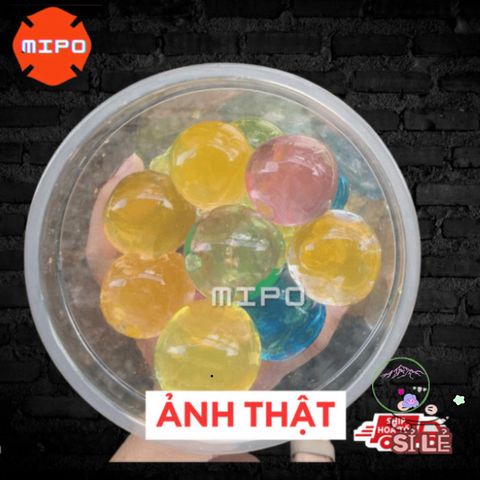 Hạt Nở Siêu Đẹp Nhiều Màu Sắc - Đồ Chơi Trang Trí Cây Cảnh Đa Năng tại MIPO Shop - Trải Nghiệm Vui Vẻ Cho Gia Đình
