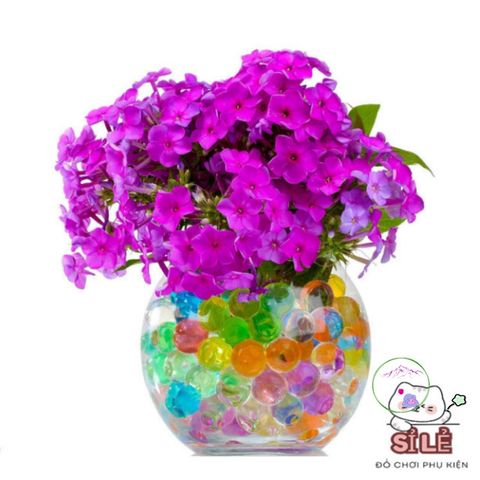 Bộ 1000 Viên Hạt Nở Màu Sắc Cầu Vồng - Trang Trí Lọ Hoa Sống Động, Tăng Cường Trải Nghiệm Vui Chơi Cho Trẻ Em