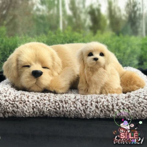 Thảm thú bông trang trí ô tô và nhà ở - Hút mùi than hoạt tính, món quà dễ thương cho trẻ em, cải thiện không khí trong lành