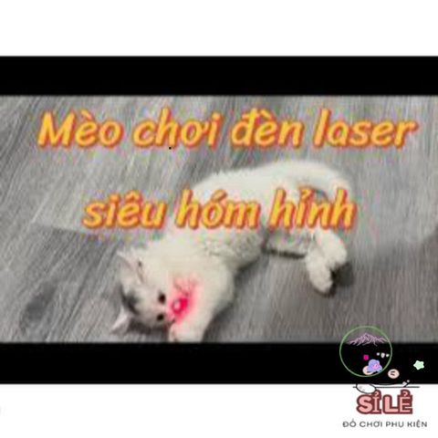 Đèn Pin Laser 303 - Đèn Chiếu Tia Xanh Đỏ Đa Năng cho Thuyết Trình và Giải Trí Thú Cưng, Bền Bỉ Chống Nước và An Toàn cho Trẻ Em