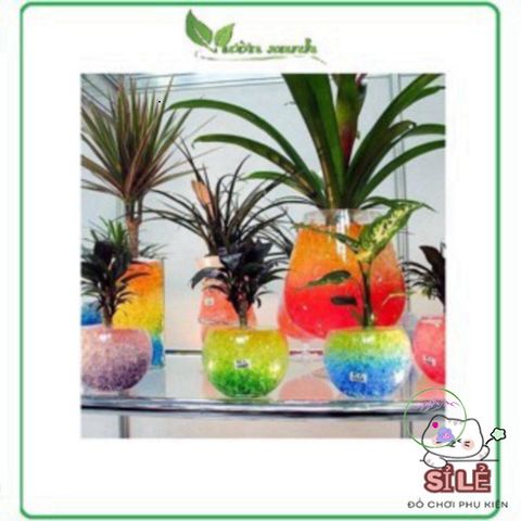 Hạt Nở Tinh Thể Đa Sắc 100gr - Hạt Nở Cây Cảnh Sáng Tạo Trang Trí Không Gian Sống Rực Rỡ và An Toàn
