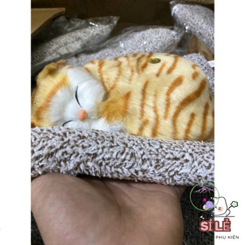 Gấu Bông Mèo Vằn Vàng Than Hoạt Tính - Người Bạn Dễ Thương Giúp Lọc Không Khí Và Khử Khuẩn Cho Không Gian Sống Của Bạn