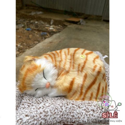Gấu Bông Mèo Vằn Vàng Than Hoạt Tính - Người Bạn Dễ Thương Giúp Lọc Không Khí Và Khử Khuẩn Cho Không Gian Sống Của Bạn