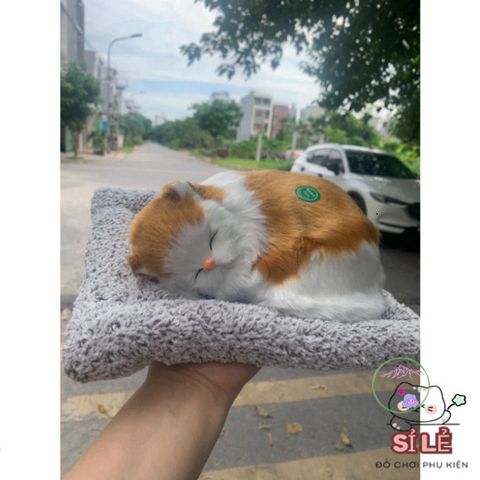 Chó Bông Nhồi Than Hoạt Tính Khử Mùi Cho Xe Hơi - Trang Trí Dễ Thương và Lọc Không Khí An Toàn Cho Gia Đình