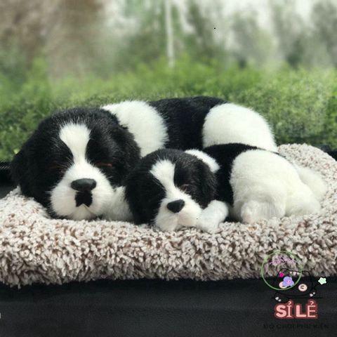Gạch Khử Mùi Hình Mèo và Cún Than Hoạt Tính - Phụ Kiện Ô Tô Dễ Thương với Âm Thanh Tự Nhiên 90% - Giải Pháp Khử Mùi Hiệu Quả