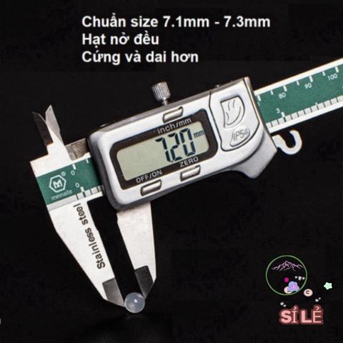 Hạt Nở Trang Trí Đa Năng 7-8mm - Phủ Màu Cây Hoa, Chất Lượng Cao, Dùng Cho Slime & Sáng Tạo Không Gian Sống