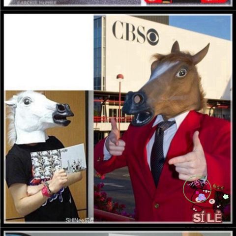 Mặt Nạ Cosplay Ngựa Silicone - Phụ Kiện Hóa Trang Độc Đáo Cho Halloween và Tiệc Tùng Nghệ Thuật