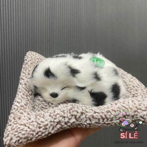 Cún Mèo Than Hoạt Tính Mini 15x17cm - Khử Mùi Ô Tô, Trang Trí Taplo Dễ Thương với Âm Thanh Vui Nhộn từ DV Auto