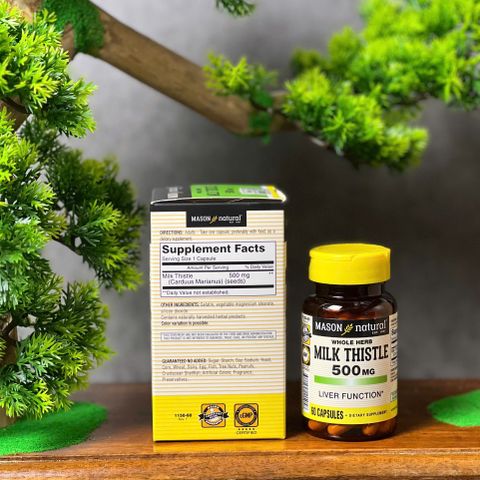 Viên uống bổ gan Mason Natural Milk Thistle 500mg - Hỗ trợ giải độc gan, bảo vệ chức năng gan (60 viên)