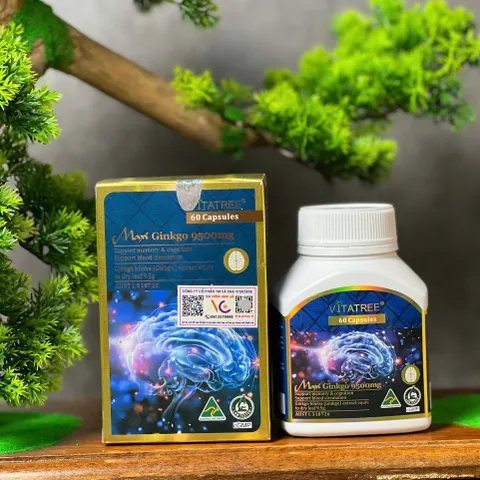 Viên uống Vitatree Maxi Ginkgo 9500mg Max - Tăng cường tuần hoàn não - Thực phẩm chức năng nhập khẩu chính ngạch 60 viên