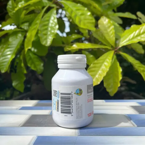 Viên Nhai Bổ Sung Kẽm Cho Bé Bio Island ZINC 120 Viên - Hỗ Trợ Tăng Trưởng và Miễn Dịch, Hương Vani Thơm Ngon