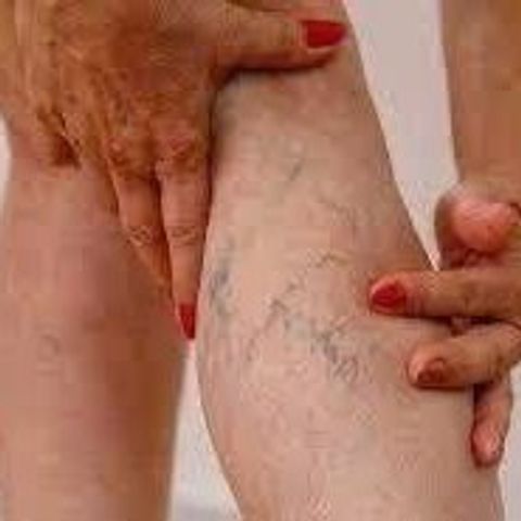 Viên Uống Nature’s Way Leg Veins 60 Viên - Hỗ Trợ Tuần Hoàn, Giảm Nặng Chân - Sản Phẩm Chăm Sóc Sức Khỏe Tự Nhiên Mỹ