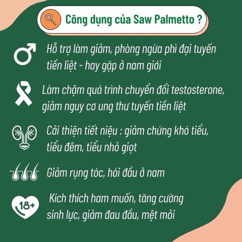 [Date 2028]Hỗ trợ đường tiết niệu và tuyến tiền liệt Saw Palmetto 450 mg Puritan’s Pride 501521