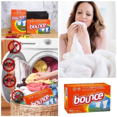 Giấy giảm nhăn và làm thơm quần áo BOUNCE - Mỹ - Shop Songna