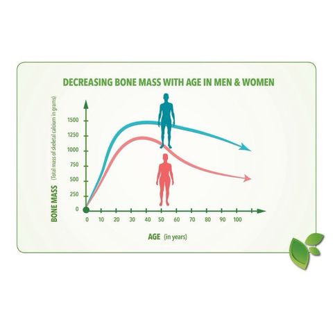 [Date 2027]Vitamin D3 125mcg (5000IU) Nature's Bounty