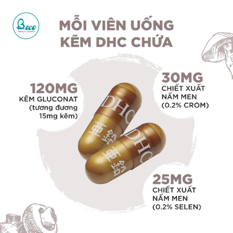 Viên Uống DHC Zinc Kẽm Nhật Bản 60 Viên - Bổ Sung Kẽm Hỗ Trợ Sức Khỏe, Tăng Cường Miễn Dịch, DHC Chính Hãng