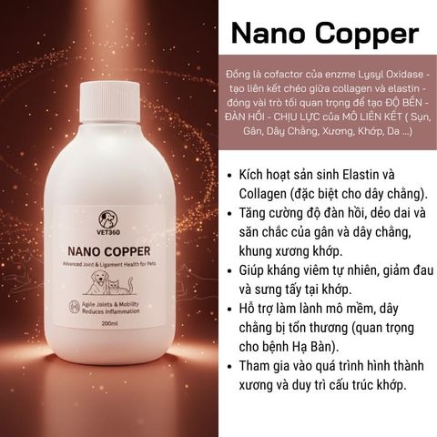 Viên bổ xương khớp VET360 cho chó mèo - Hỗ trợ loạn sản xương hông, xương chân yếu, thoát vị đĩa đệm, loãng xương - Giải pháp sức khỏe toàn diện