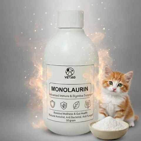 Monolaurin 50 GRAM - Tăng Cường Miễn Dịch và Phòng Ngừa FIP, Care Cho Chó Mèo, Sản Phẩm Chăm Sóc Thú Cưng Tự Nhiên
