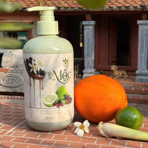 Combo 2 Chai Tặng Khăn Tắm Cao Cấp Dầu Gội Cao Cấp Thiên Nhiên MỘC AN Combo 2 Chai 500ml - Chiết Xuất Dầu Bưởi, Bồ Kết, Hương Nhu, Dâu Tằm Cho Tóc Khỏe Mạnh