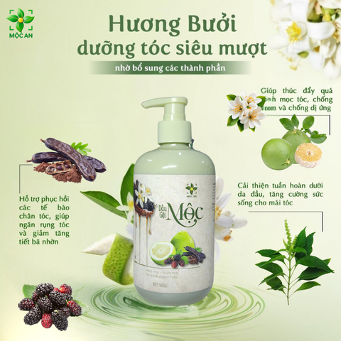 [ MUA 1 TẶNG 1 ] Dầu Gội MỘC AN 500ml - Chiết Xuất Bưởi, Bồ Kết, Hương Nhu Hỗ Trợ Mọc Tóc và Giảm Rụng Tóc, Chăm Sóc Tóc Tự Nhiên