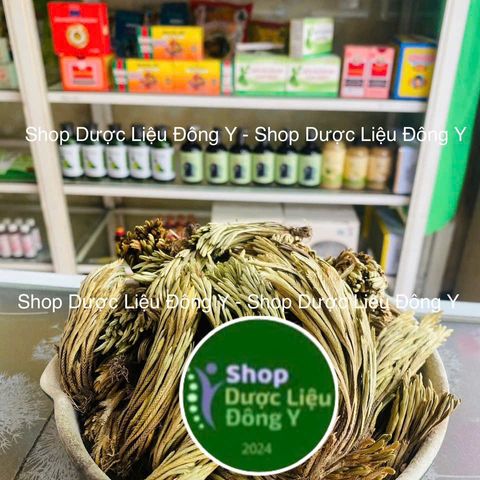 Cây Trường Sinh Móng Lưng Rồng 1kg - Thảo Dược Hỗ Trợ Chữa Bệnh, Giải Quyết Đau Nhức, Hỗ Trợ Tiêu Hóa, Xuất Xứ Việt Nam