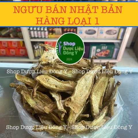 Rễ Ngưu Bàng Khô Nhật Bản 100g - Thực Phẩm Tự Nhiên, Hỗ Trợ Tiểu Đường và Giải Độc An Toàn Sức Khỏe