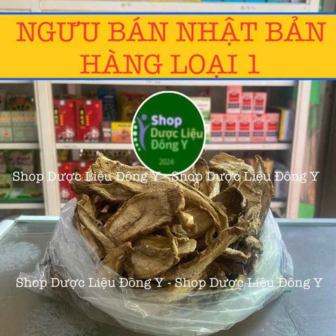 Rễ Ngưu Bàng Khô Nhật Bản 100g - Thực Phẩm Tự Nhiên, Hỗ Trợ Tiểu Đường và Giải Độc An Toàn Sức Khỏe