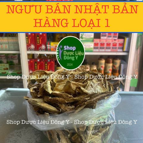 Rễ Ngưu Bàng Khô Nhật Bản 100g - Thực Phẩm Tự Nhiên, Hỗ Trợ Tiểu Đường và Giải Độc An Toàn Sức Khỏe