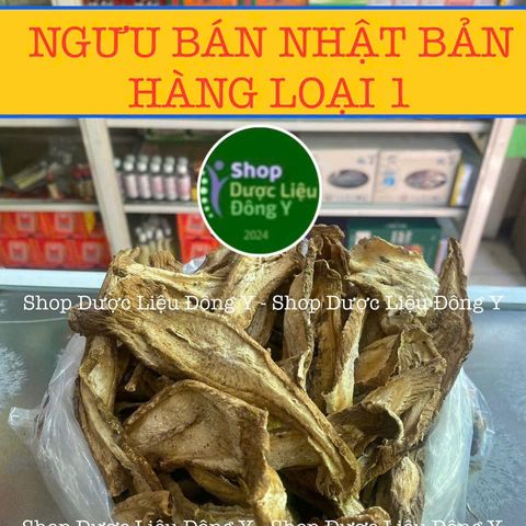 Rễ Ngưu Bàng Khô Nhật Bản 100g - Thực Phẩm Tự Nhiên, Hỗ Trợ Tiểu Đường và Giải Độc An Toàn Sức Khỏe
