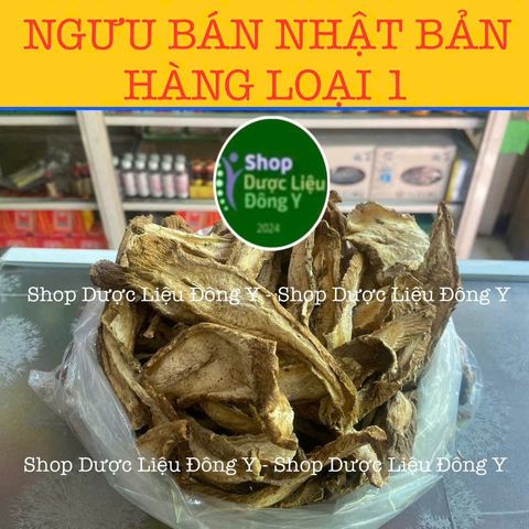 Rễ Ngưu Bàng Khô Nhật Bản 100g - Thực Phẩm Tự Nhiên, Hỗ Trợ Tiểu Đường và Giải Độc An Toàn Sức Khỏe