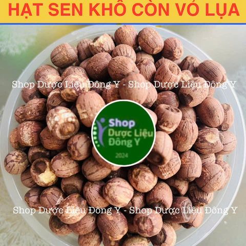 Hạt Sen Khô Nguyên Vỏ Đặc Biệt 100g - Thơm Ngon, Giàu Dinh Dưỡng, Chuyên Dùng Trong Ẩm Thực Việt