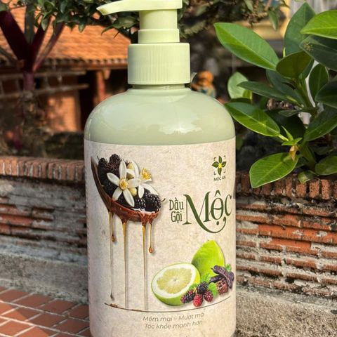 [ MUA 1 TẶNG 1 ] Dầu Gội MỘC Cao Cấp Chiết Xuất Bưởi Bồ Kết & Hương Nhu - Hỗ Trợ Mọc Tóc & Giảm Rụng, Tóc Mềm Mượt Tự Nhiên