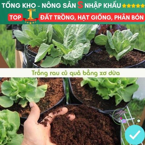 Viên Nén Đất Xơ Dừa Kháng Khuẩn - Giá Thể Trồng Rau Hoa và Hạt Giống An Toàn, Dinh Dưỡng Tự Nhiên, Giao Hàng Siêu Nhanh