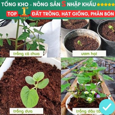 Viên Nén Đất Xơ Dừa Kháng Khuẩn - Giá Thể Trồng Rau Hoa và Hạt Giống An Toàn, Dinh Dưỡng Tự Nhiên, Giao Hàng Siêu Nhanh