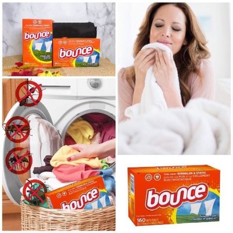 Giấy giảm nhăn và làm thơm quần áo BOUNCE của mỹ - Shop Songna