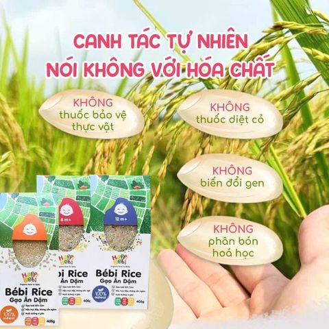 Gạo Hữu Cơ Ăn Dặm Bébi Organic - Gạo Xát Dối Giàu Dinh Dưỡng, An Toàn Cho Bé, Phù Hợp Với Giai Đoạn Ăn Dặm, HSD 09/05/2026