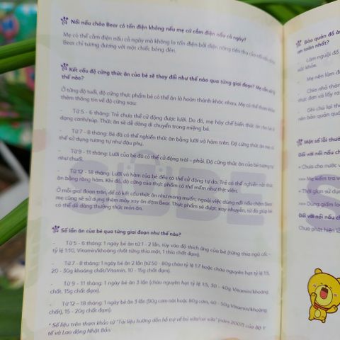 Cẩm Nang Ăn Dặm Bear Cocobear - 50+ Công Thức Khoa Học Cho Bé Yêu - Hướng Dẫn Dinh Dưỡng An Toàn Cho Trẻ Sơ Sinh