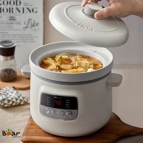 [THANH LÝ] Lõi Nồi Sứ 3 Lít Dùng Cho Model Bear D30H5, D30E2, BlueStone SCB-6123, Ruột Nồi Sứ Nhiệt Trực Tiếp 3L