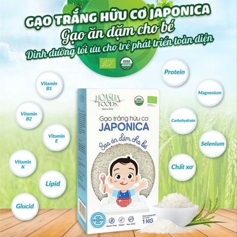 Gạo Japonica/Gạo ST25 Hữu Cơ Organic Cao Cấp, Gạo Nhật Cho Bé Ăn Dặm 1kg - Date T2/2026