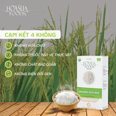Gạo Japonica/Gạo ST25 Hữu Cơ Organic Cao Cấp, Gạo Nhật Cho Bé Ăn Dặm 1kg - Date T2/2026