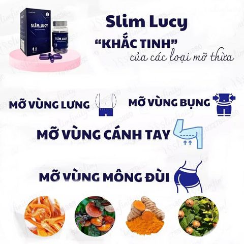 Viên Tiêu Mỡ Slim Lucy - Giảm Cân Cấp Tốc Từ Thảo Mộc Tự Nhiên, Hỗ Trợ Đào Thải Mỡ Thừa (Hộp 40 Viên)