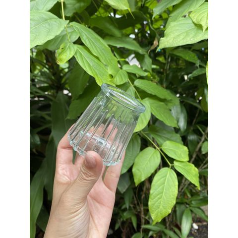 Hũ Thủy Tinh Dung Tích 100ml - Làm Sữa Chua, Panna Cotta, Flan, Nắp Đậy An Toàn, Dễ Thương Vân Sọc Chống Trơn, Đồ Gia Dụng Nhà Bếp