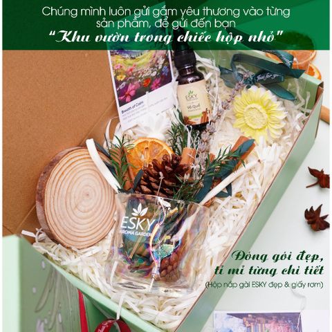 Set Tinh Dầu Khuếch Tán ESKY Aroma Garden - Quà Tặng Valentine Sang Trọng & Thiên Nhiên - Trang Trí Tết & Decor Không Gian