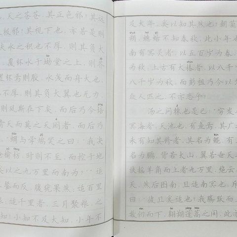 Vở Chép Trang Tử - Chữ Hán Giản Thể In Mờ - Học Tiếng Trung Qua Văn Học Đạo Giáo - Tặng Quà Thực Hành Văn Hóa