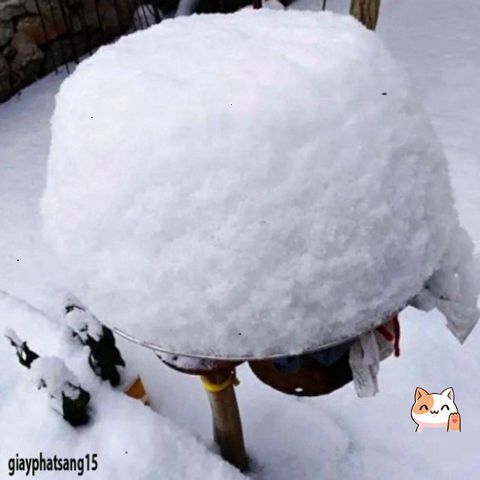 Tuyết Nhân Tạo 1kg - Trang Trí Giáng Sinh Ông Già Noel & Nguyên Liệu Slime Mây - Tuyết Giả Phát Sáng Thắng Lợi