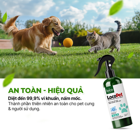 Chai Xịt Khử Mùi Hôi Nước Tiểu Chó Mèo Loco Pet 500ml - Khử Mùi Siêu Tốc, Diệt Khuẩn, Hương Sả Chanh Tươi Mát
