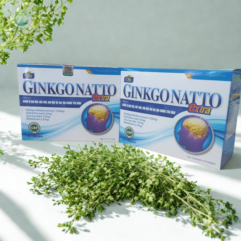 Viên Uống GINKGONATTO Extra - Hỗ Trợ Giảm Đau Đầu, Mất Ngủ, Tăng Cường Tuần Hoàn Máu Não, An Thần Tự Nhiên